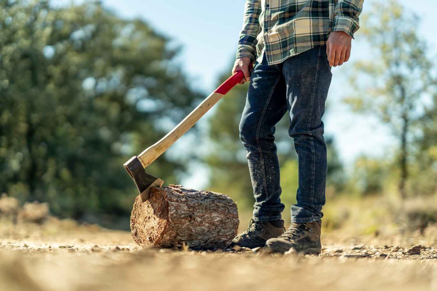 Best Tree Root Removal  in Marshallton, PA